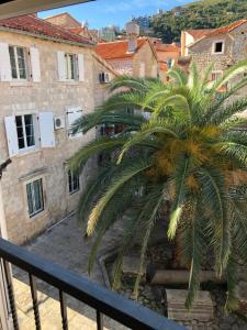 a palm tree in front of a building at Apartment Viva in Budva