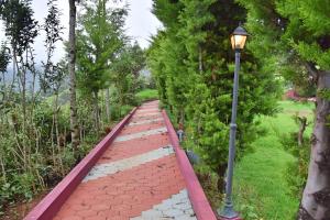 Zahrada ubytování Green Nest Resort Ooty
