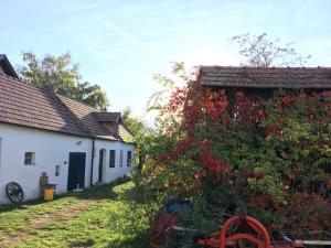 Zahrada ubytování Am Ziegenhof