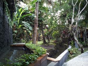 a garden with a pond and a palm tree at Madra Homestay in Ubud
