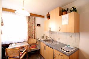 A kitchen or kitchenette at Pension Delacher