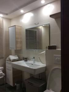 Koupelna v ubytování Alpbach Apartments