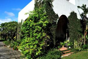 Zahrada ubytování Tuscany Garden B&B