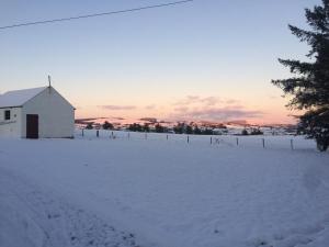 a white barn in a snowy field with a fence at Scarlett Rose Cottage in Cookstown