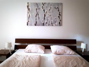 ブダペストにあるGozsdu Suite Apartmentのベッドルーム1室(ベッド1台、枕2つ付)