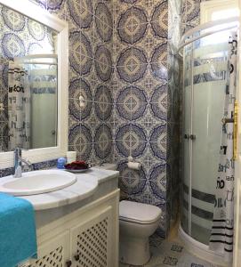 托澤爾的住宿－達爾艾扎拉別墅，一间带水槽、卫生间和淋浴的浴室