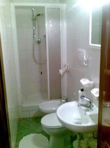 アレンツァーノにあるLocanda Vittoriaのバスルーム(トイレ、洗面台、シャワー付)