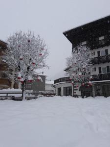 two trees with christmas decorations in the snow at Hotel Garni Suisse in San Martino di Castrozza