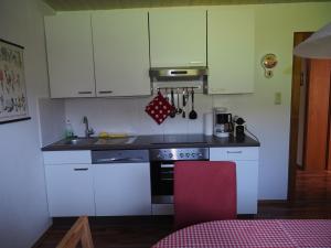 Kuchyň nebo kuchyňský kout v ubytování Ferienwohnung Hübner + 2 fotografie