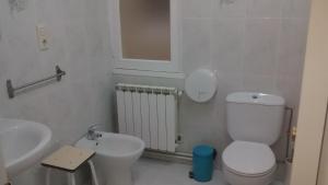 a bathroom with a white toilet and a sink at Pension Santa Rita in Santiago de Compostela
