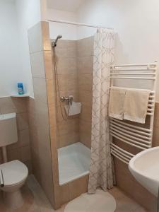a bathroom with a shower with a toilet and a sink at Hédi Vendégház Eger in Eger