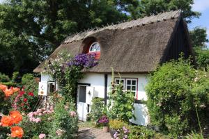 een klein wit huis met bloemen ervoor bij Travel back in time in Nyord