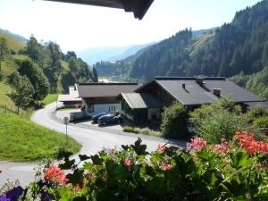 une route sinueuse dans une vallée avec des maisons et des fleurs dans l'établissement Appartement Ripper, à Saalbach-Hinterglemm