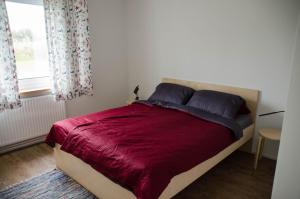 サガルトにあるFerienwohnung 2 Kormoranのベッドルーム1室(赤いシーツ付きのベッド1台、窓付)