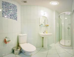 ein Bad mit einem WC, einem Waschbecken und einer Dusche in der Unterkunft Hotel Adeliya in Sankt Petersburg