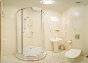 a bathroom with a shower and a toilet and a sink at Hotel Adeliya in Saint Petersburg