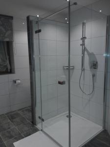 a shower with a glass door in a bathroom at Apart Sissy in See