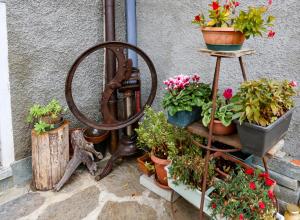 Zahrada ubytování Al Molin B&B