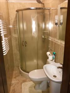 a bathroom with a shower and a toilet and a sink at Amfora Hotel in Nakonechnoye