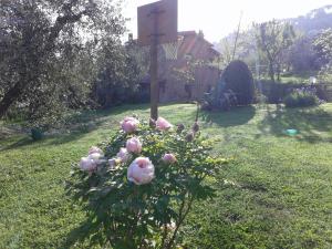 Vrt pred nastanitvijo Podere La Vigna Locazione Turistica