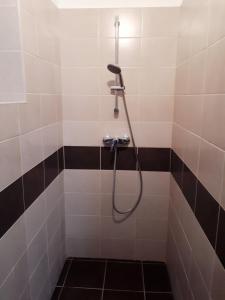 a shower with a hose in a tiled bathroom at Market Square Apartment in Budapest +22 photos