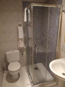 a bathroom with a shower and a toilet and a sink at Hostal Avenida in Arenas de San Pedro