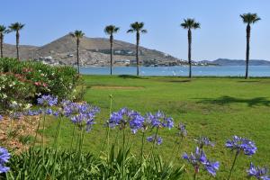 Gallery image of Astir Of Paros in Naousa