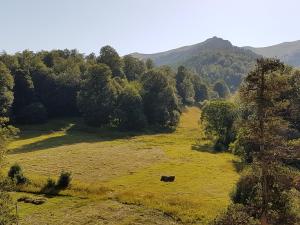 Příroda nedaleko apartmánu