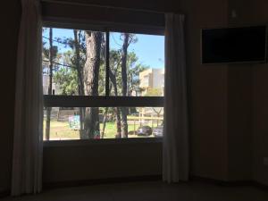 a window with a view of a tree at Complejo Pampa in Mar de las Pampas