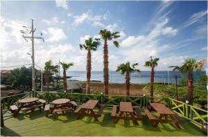 a deck with picnic tables and palm trees and the ocean at Rich Hotel in Jeju