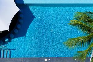 widok na basen z palmą w obiekcie Coral Princess Hotel & Dive Resort w mieście Cozumel