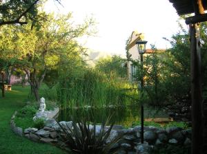 un jardín con estanque y luz de la calle en Posada Los Antiguos-Adults Only en Merlo