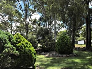 a lush green park with trees and shrubbery at Crows Nest Motel in Crows Nest