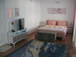 a bedroom with a bed and a tv and a rug at Guest House Stenli in Primorsko