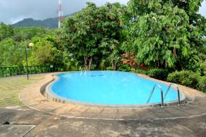 a large swimming pool in a yard with trees at Hotel Breeta's Garden in Ginigathena