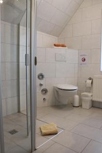 ein Bad mit einer Dusche und einem WC in der Unterkunft Ferien- und Monteurstudios in Kassel