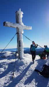 Foto dalla galleria di Almhütte in Kärnten a Goding