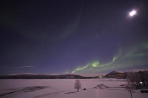 una aurora en el cielo sobre un campo cubierto de nieve en Ylläksen Yöpuu, en Äkäslompolo