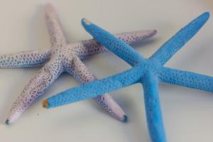 Fotografie z fotogalerie ubytování Le Conchiglie v destinaci Marettimo
