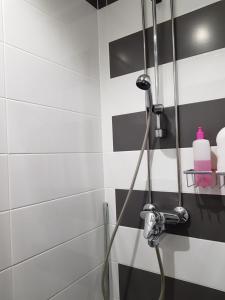a shower with a hose in a bathroom at Arctic Red House in Rovaniemi