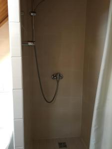 a shower with a shower curtain in a bathroom at Česká Chalupa in Liberec