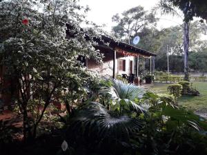 una casa con muchas plantas delante de ella en Hostería Cuarajhy Loreto en Loreto