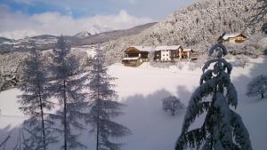 冬天的Vitroler Hof