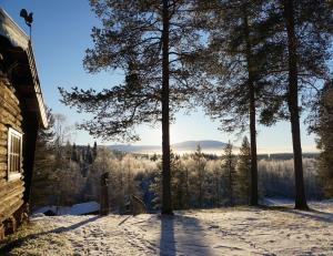 a view from a house in the snow with trees at Stena Cabins & Apartments in Äkäslompolo