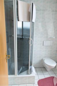 a shower in a bathroom with a toilet at Horn's Gästehaus in Bad Steben