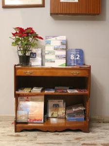 a wooden shelf with books and a potted plant on it at Pensión San Isidro in Madrid
