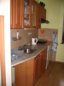 Kuchyň nebo kuchyňský kout v ubytování Apartmany Ingeborg
