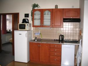 Kuchyň nebo kuchyňský kout v ubytování Apartmany Ingeborg