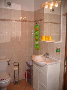 Koupelna v ubytování Apartmany Ingeborg
