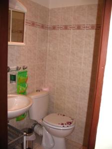 Koupelna v ubytování Apartmany Ingeborg